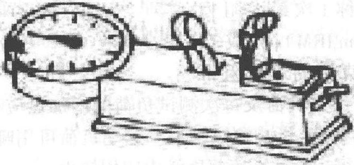 第五節(jié) 肌力評(píng)定
